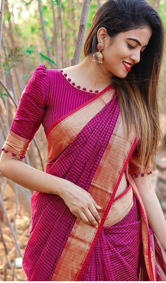 Saree blouse for body type