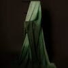 MG_6509 Emerald Enchantment Light Green and Dark Green Linen Shaded Saree