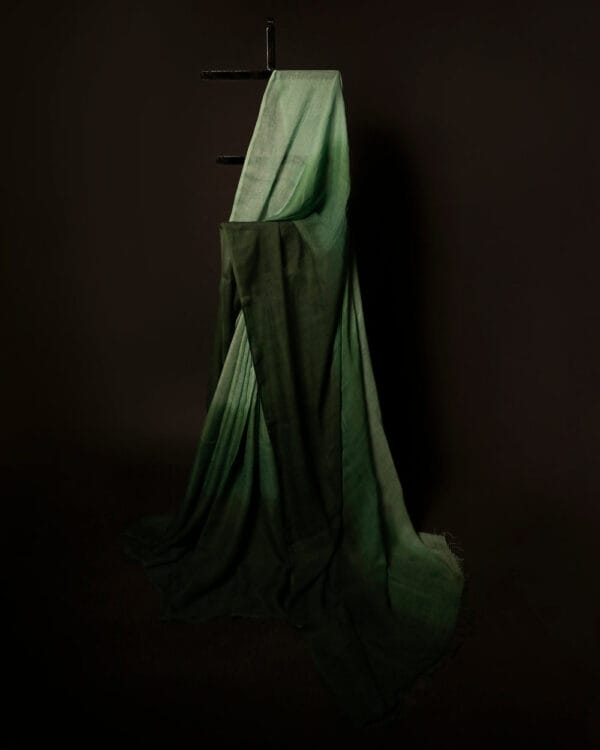 MG_6511 Emerald Enchantment Light Green and Dark Green Linen Shaded Saree