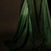 MG_6516 Emerald Enchantment Light Green and Dark Green Linen Shaded Saree