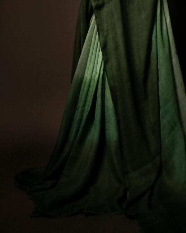MG_6516 Emerald Enchantment Light Green and Dark Green Linen Shaded Saree