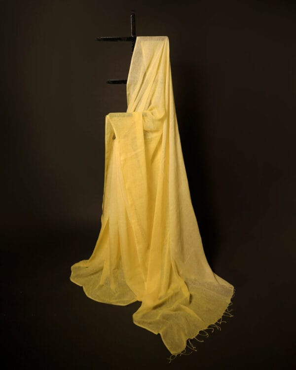 MG_6556 Golden Glow Yellow Linen Shaded Saree
