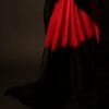 Crimson Noir Red and Black Linen Shaded Saree