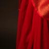 MG_6597 Crimson Elegance Red Kota Cotton Zari Plain Saree