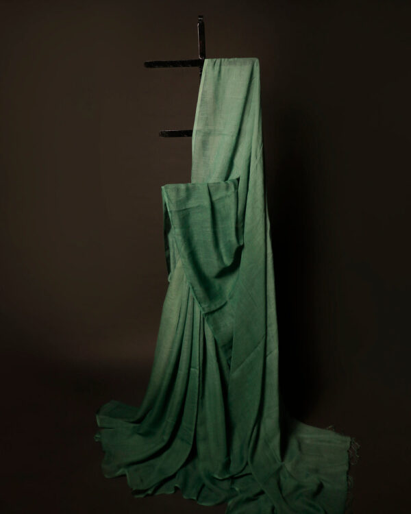 MG_6660 Spring Breeze Light Green Linen Shaded Saree