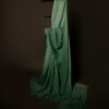 MG_6661 Spring Breeze Light Green Linen Shaded Saree