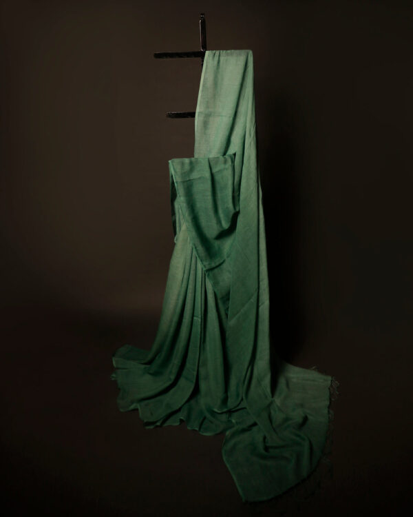 MG_6661 Spring Breeze Light Green Linen Shaded Saree