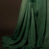 MG_6665 Spring Breeze Light Green Linen Shaded Saree