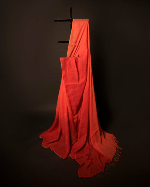 MG_6692 Tangerine Textures Orange Textured Linen Shaded Saree