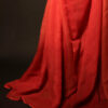 MG_6695 Tangerine Textures Orange Textured Linen Shaded Saree