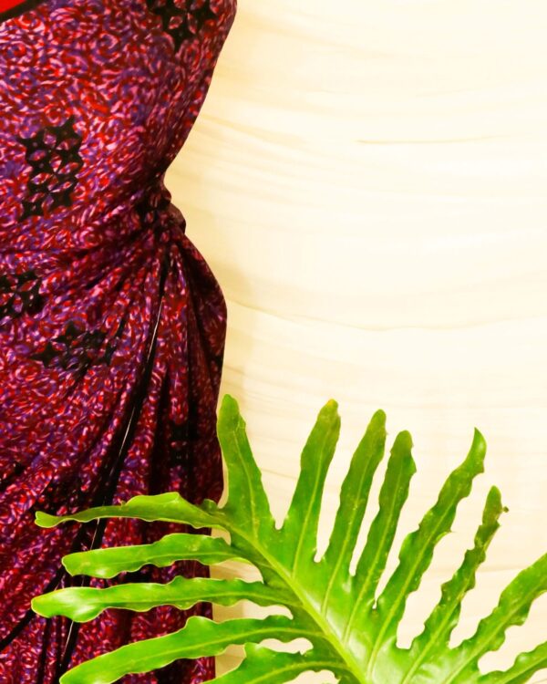 Pure-Handloom-Multi-Coloured-Gaji-Silk-Saree-5_jpg-1 Pure Handloom Multi-Coloured Gaji Silk Saree