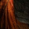 fhygkj-3 Pure Apricot and Black Handloom Organza Silk Saree