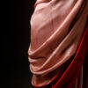 rn-image_picker_lib_temp_ae76a8bd-5364-41f0-b1a9-b73f5364ab1c Velvet Rouge Red Pure Dupion Silk Saree