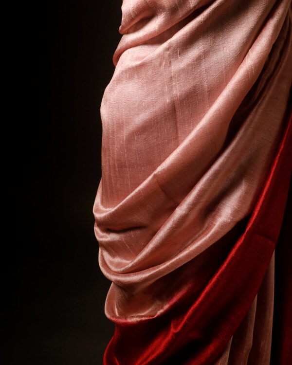 rn-image_picker_lib_temp_ae76a8bd-5364-41f0-b1a9-b73f5364ab1c Velvet Rouge Red Pure Dupion Silk Saree